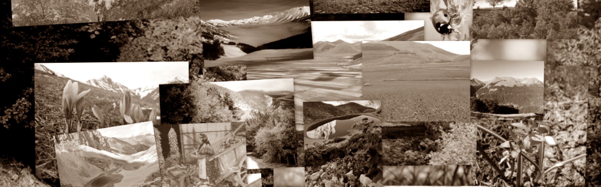 Le fotografie da voi inviate al sito
